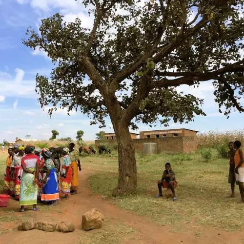 malawi project